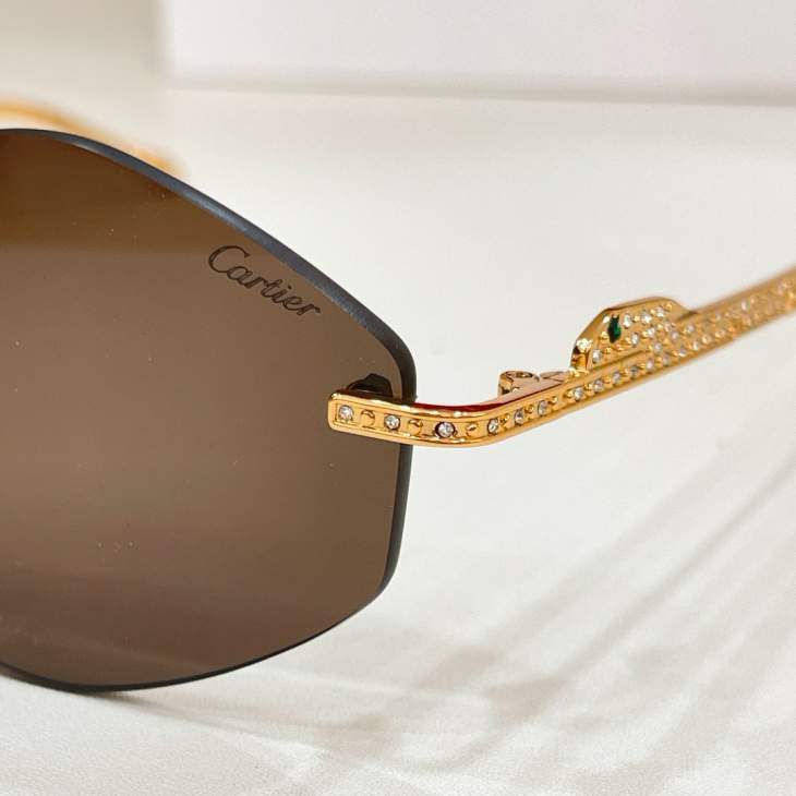 Picture of Cartier Sunglasses _SKUfw80235787fw
